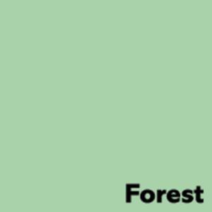 Spalvotas biuro popierius Image Coloraction, A4, 160g, Forest, pastelinės žalios spalvos, 250 lapų