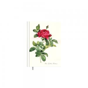 Darbo kalendorius Timer Kancleris Day, 140x190mm, Red Rose