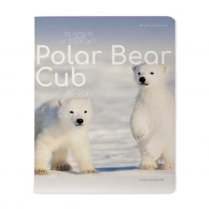 Sąsiuvinis Bruno Visconti  Polar Bear Cub 3, A5, langeliais, 48 lapų