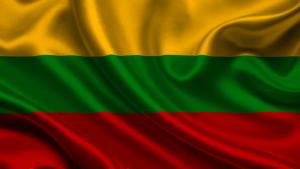 *Lietuvos Respublikos vėliava, 170x100cm, storo audinio, su kišene ir raišteliais